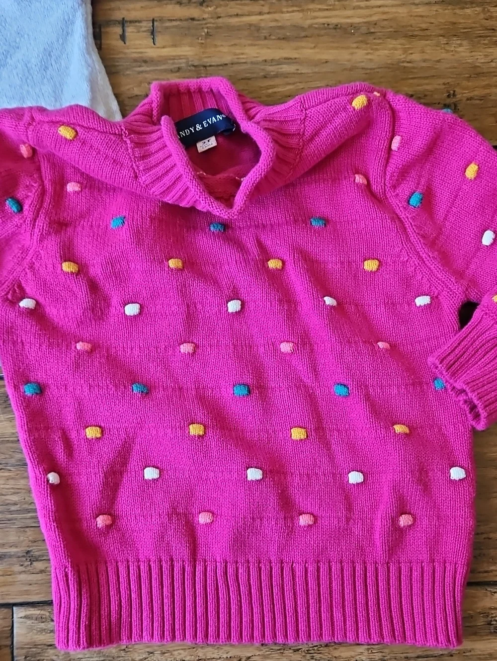2T Girls Fall/ Winter Bundle Stich Fix